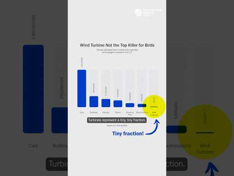 Offshore Wind Under Attack by Misinformation